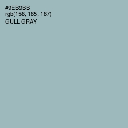 #9EB9BB - Gull Gray Color Image